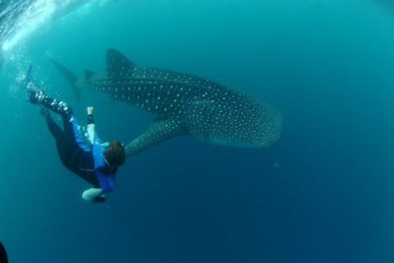 Seychelles
