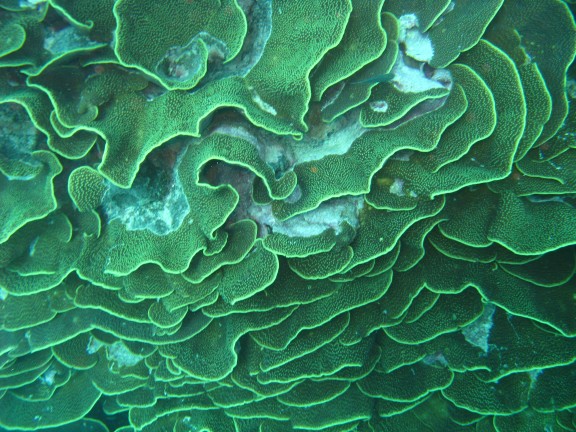 Queensland, Australia
