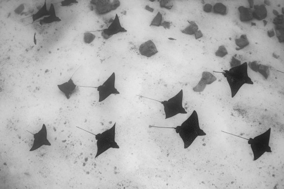 Islas Galápagos, Ecuador