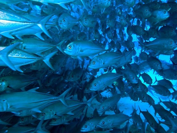 Baja California Sur, México