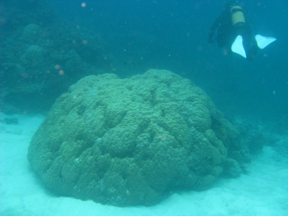 Queensland, Australia