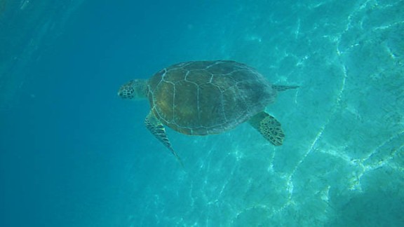 Yucatan, Mexico