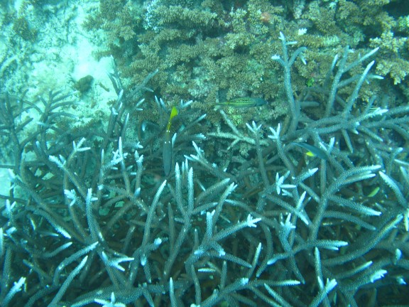 Queensland, Australia