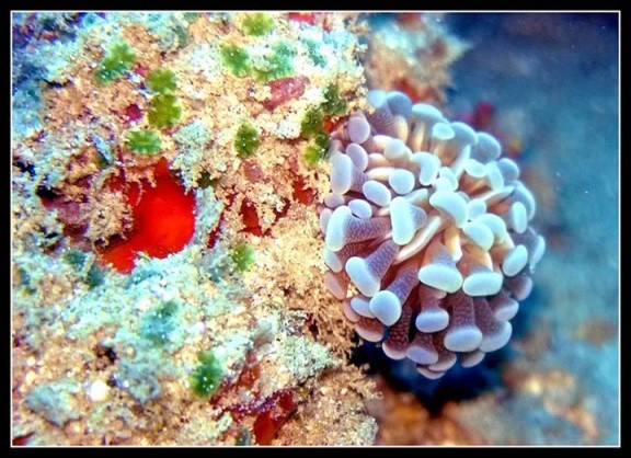 South Andaman, India