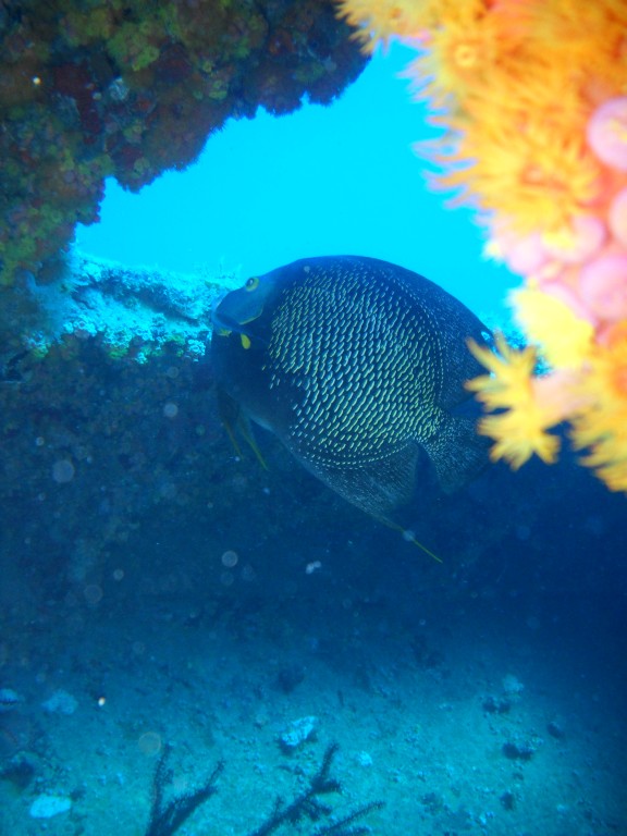 Pompano Beach, Florida