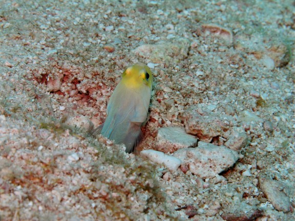 Key Largo
