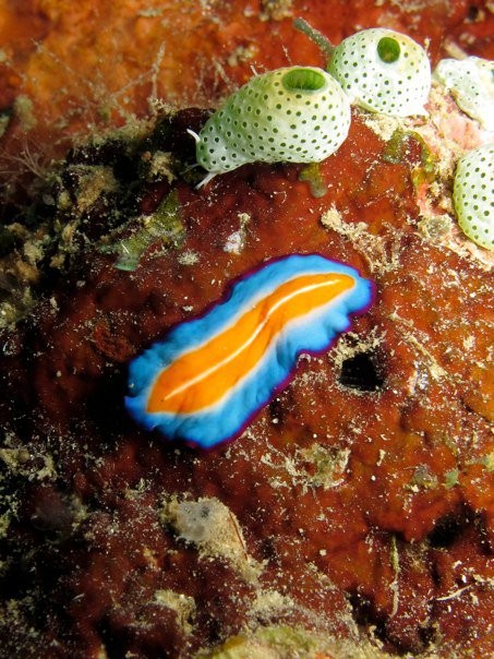 Gerokgak, Indonesia