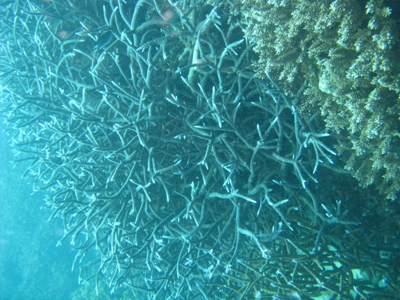 Queensland, Australia