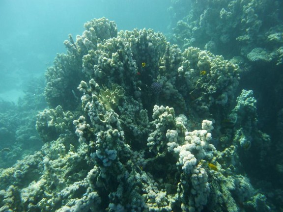 Dahab, Egypt