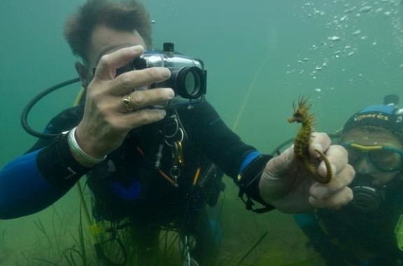Purbeck, United Kingdom
