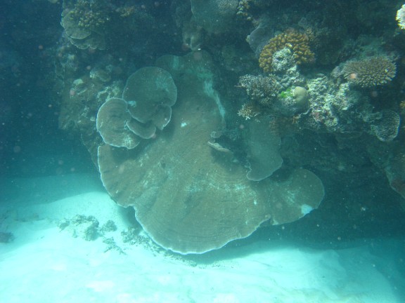 Queensland, Australia