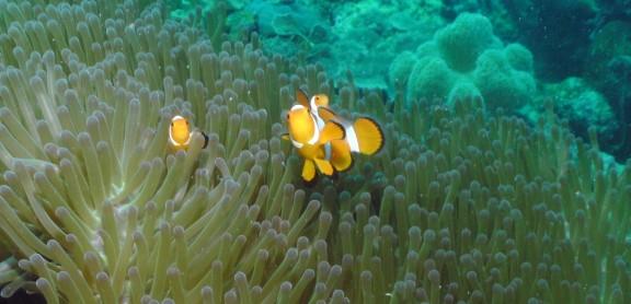 Malaysia