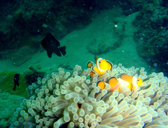 Andaman, India