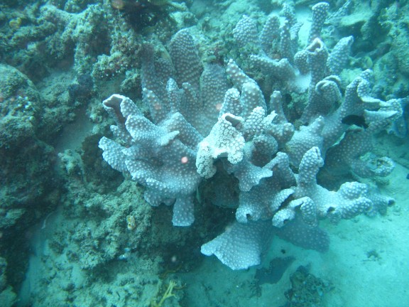 Queensland, Australia