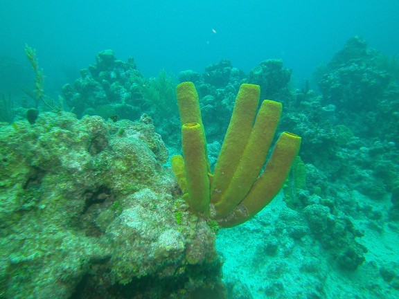 George Town, Cayman Islands