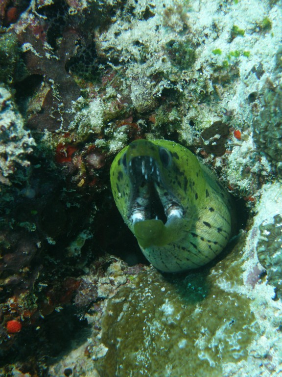 Velidhu, Maldives