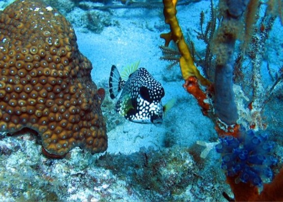 Culebra, Puerto Rico