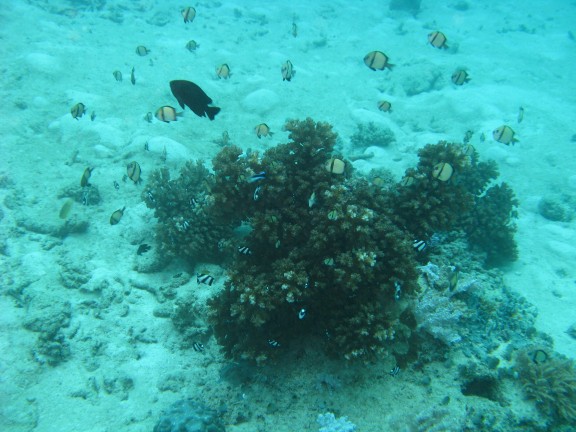 Queensland, Australia