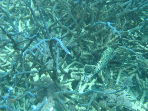 Queensland, Australia