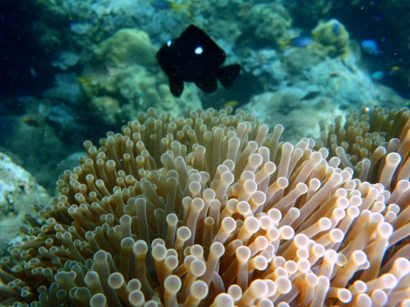 Andaman, India