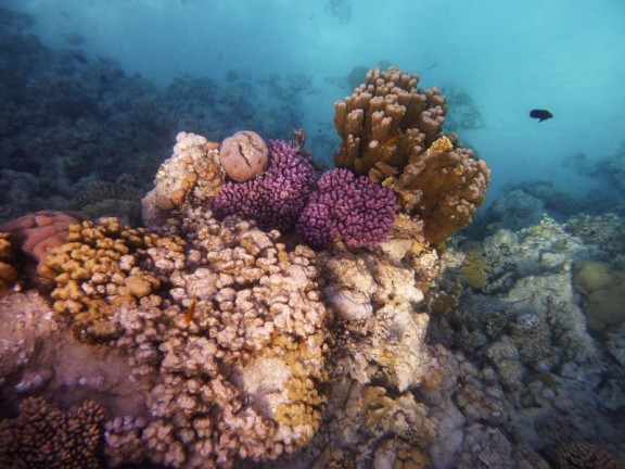 Dahab, Egypt