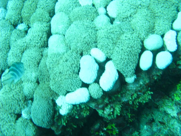 Queensland, Australia