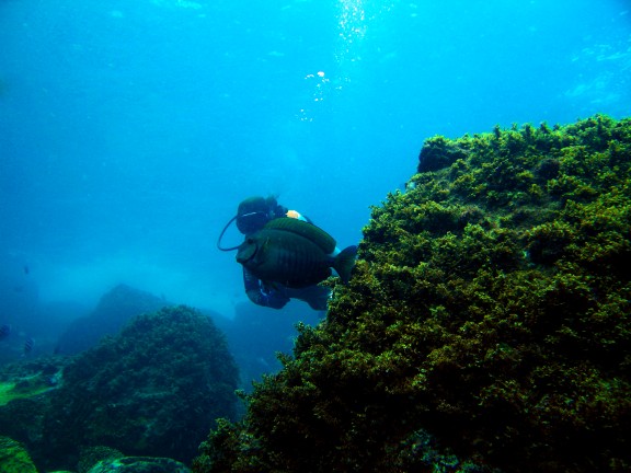 Armação dos Búzios, Brasil