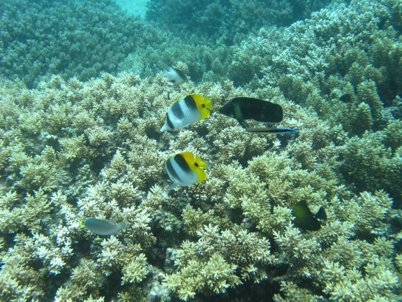 Queensland, Australia
