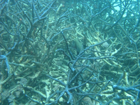 Queensland, Australia