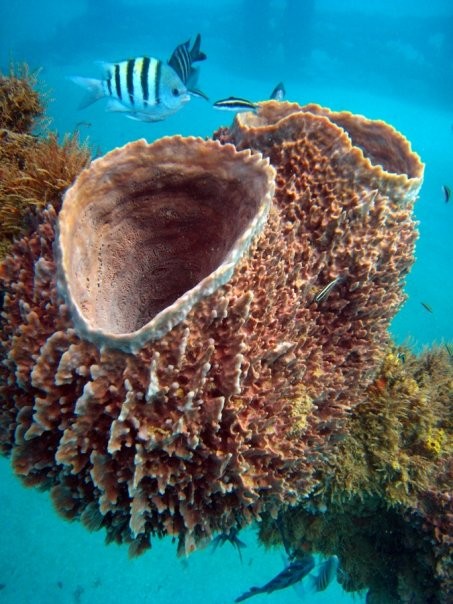 Aguadilla, Puerto Rico