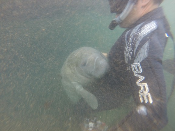 Homosassa, United States
