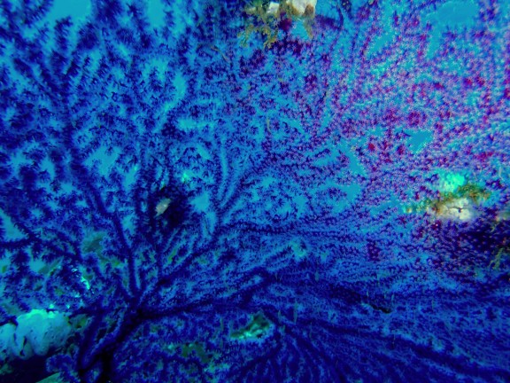 Andaman, India