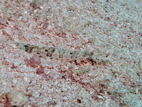 Key Largo