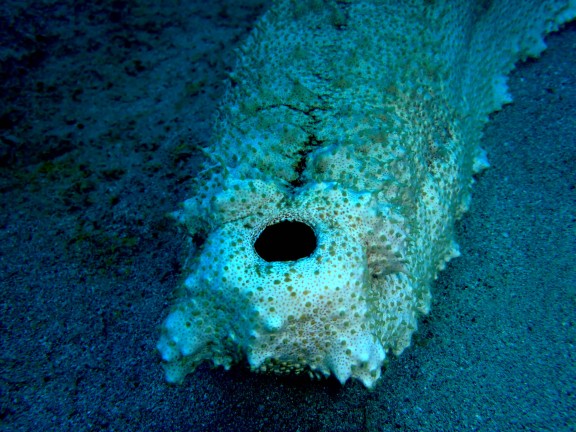 Andaman, India