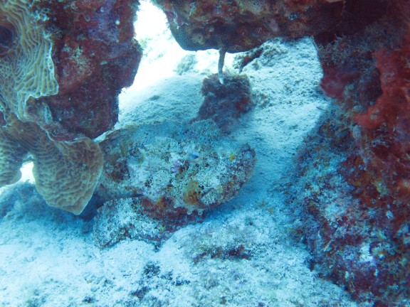 Kralendijk, Netherlands Antilles