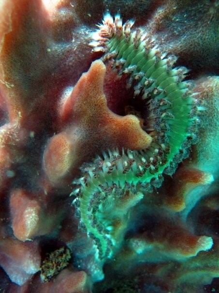 Aguadilla, Puerto Rico