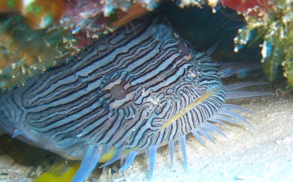Quintana Roo, Mexico
