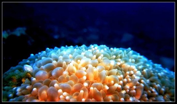 South Andaman, India