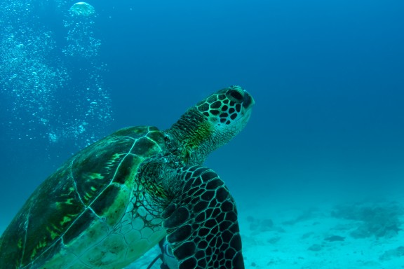 Islas Galápagos, Ecuador