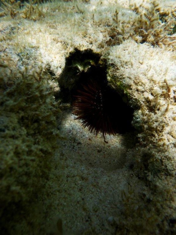 Dahab, Egypt