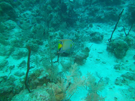 George Town, Cayman Islands