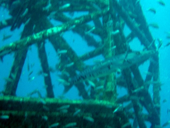Key Largo