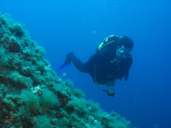 Reef Cala Serena