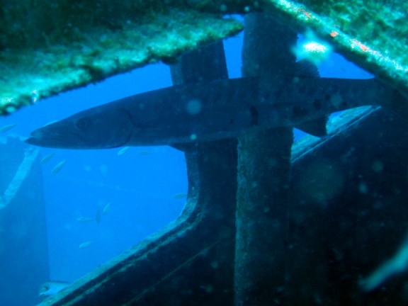 Key Largo