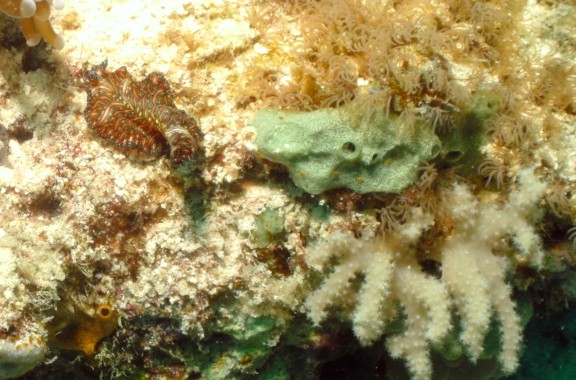 Malaysia