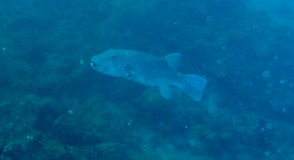 Andaman, India