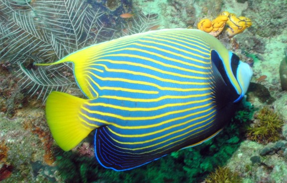 Malaysia