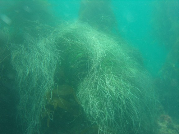 Catalina Island, CA