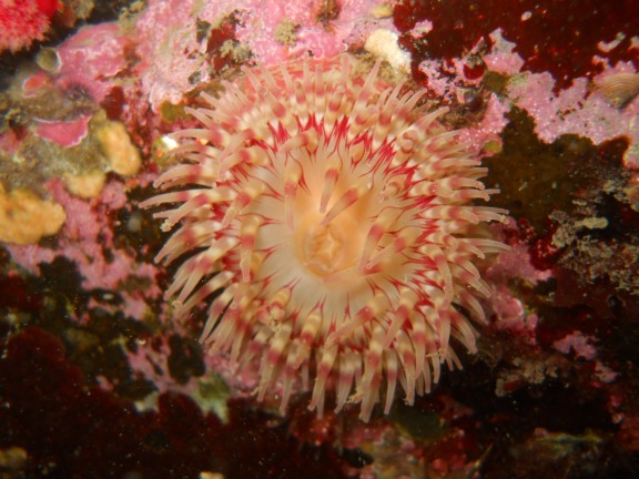 Victoria, Canada