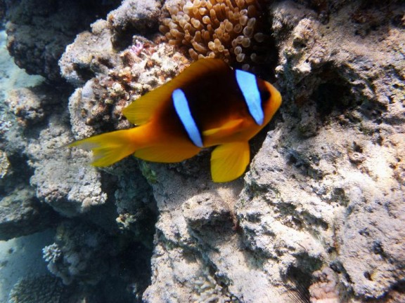 Dahab, Egypt